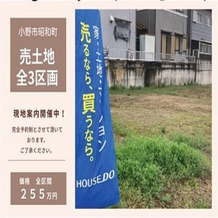 画像277