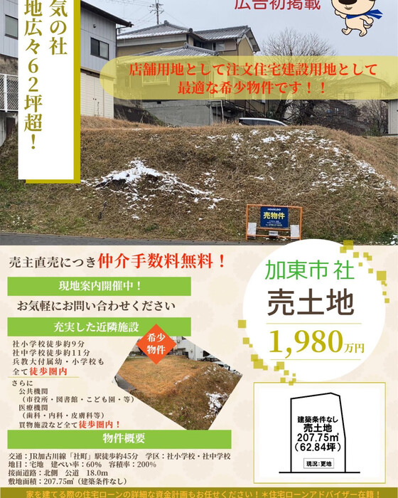 画像293