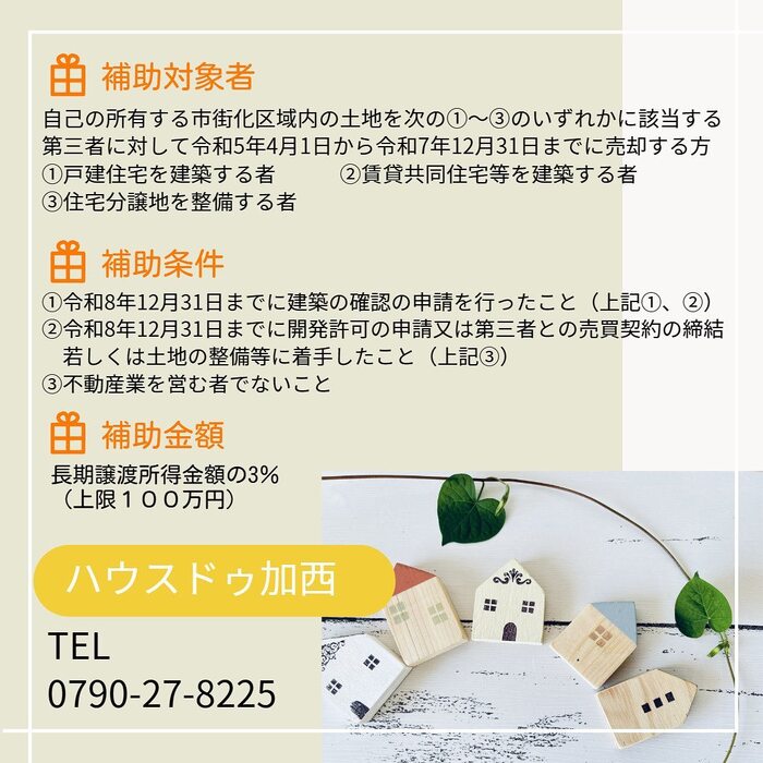 画像317