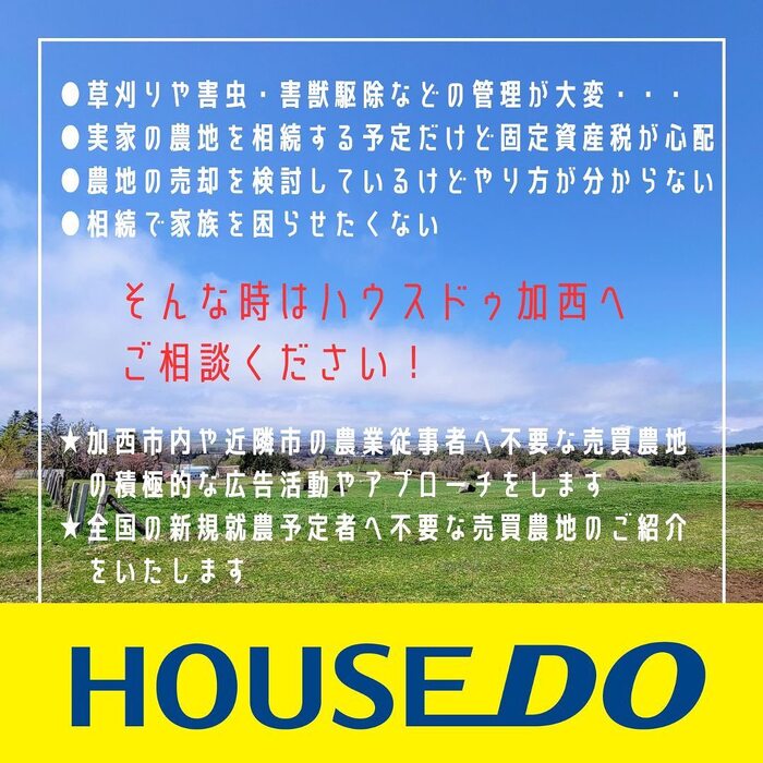 画像378