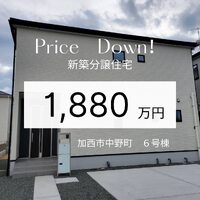 画像394