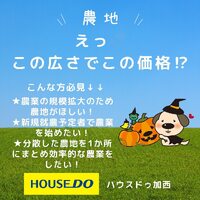 画像400
