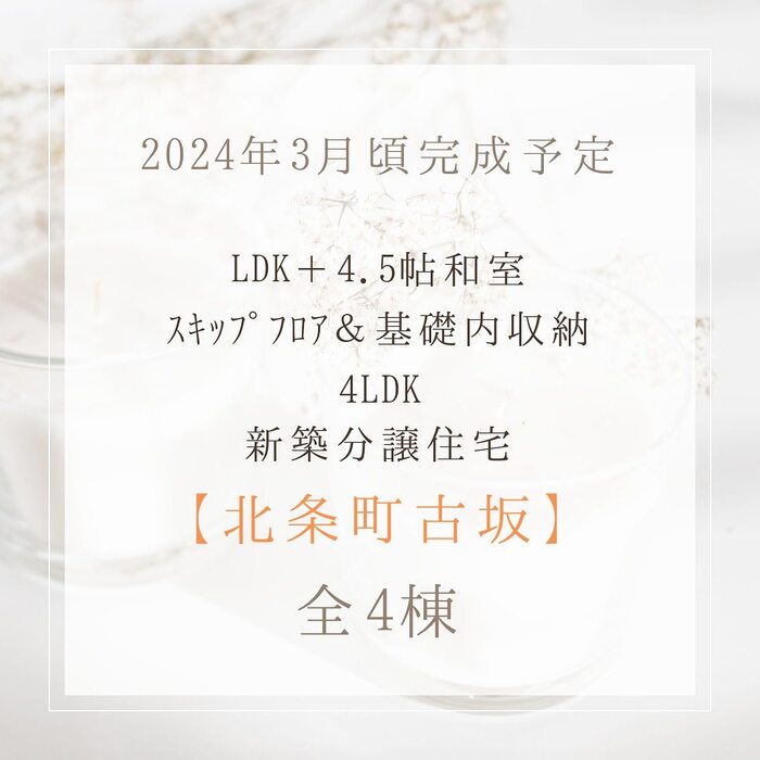 画像421