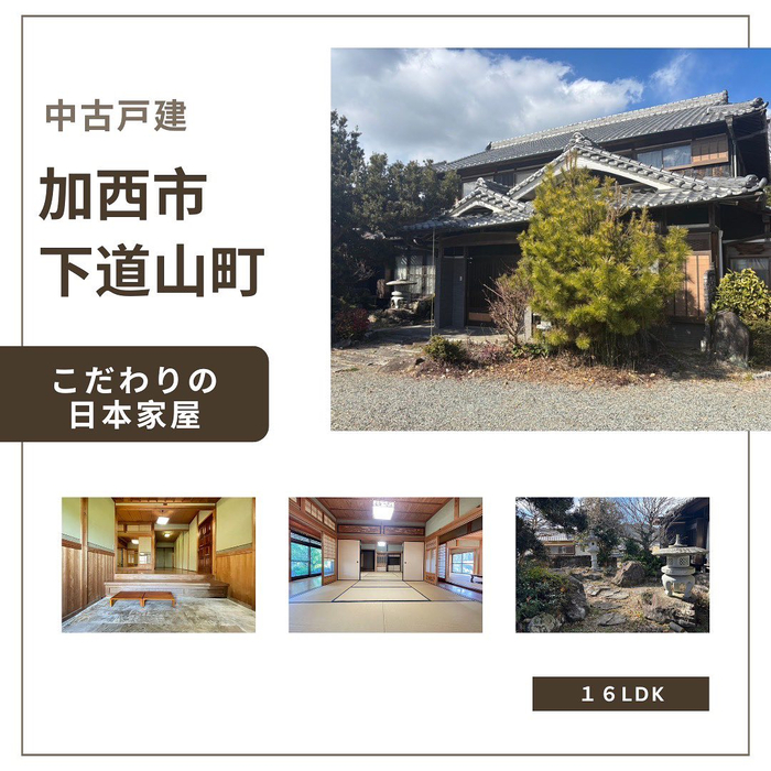 画像525