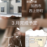 画像611